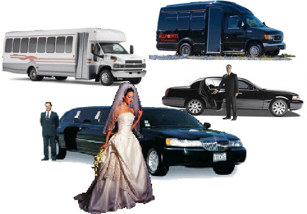 Platinum Package